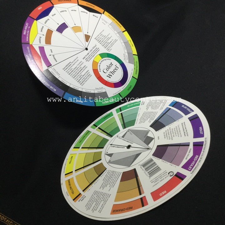 Giant Color Wheel – Anlita Beauty Center